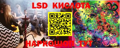 PSILOCYBIN Донской