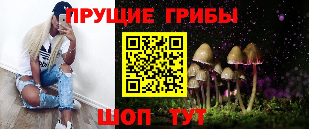 Псилоцибиновые грибы Psilocybine cubensis  Вход с VPN  где купить наркотик  Галлюциногенные грибы Cubensis  Малгобек 