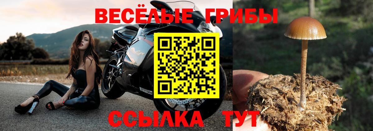 ГАШ Малгобек