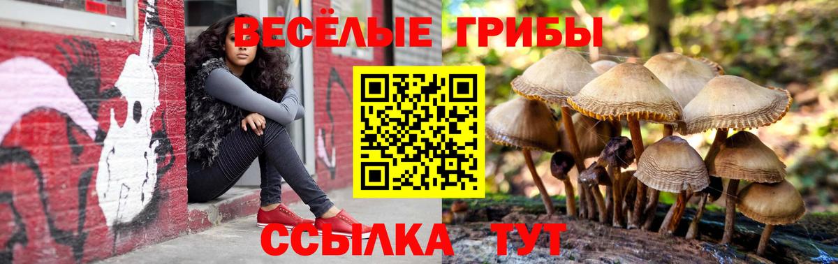 Галлюциногенные грибы Cubensis Малгобек
